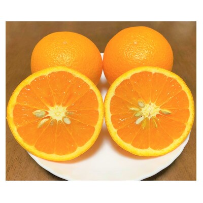 地元印南町産の清見オレンジ約2kg(L～3Lサイズ6～8個)