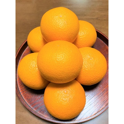 地元印南町産の清見オレンジ約2kg(L～3Lサイズ6～8個)