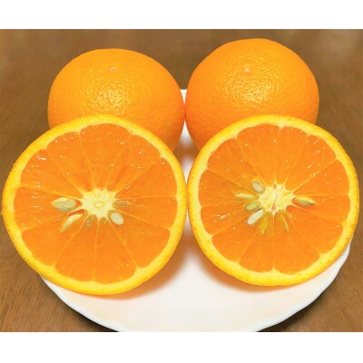 地元印南町産の清見オレンジ約5kg(L～3Lサイズ15個前後)