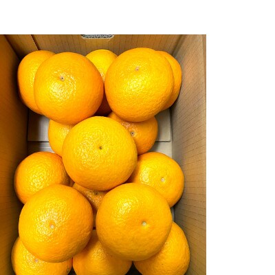 地元印南町産の清見オレンジ約5kg(L～3Lサイズ15個前後)