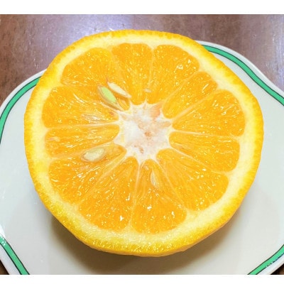 地元印南町産【樹熟甘夏みかん約7.5kg(20個前後)】