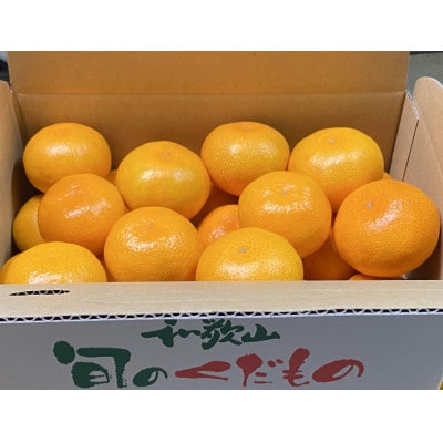 地元印南町産の完熟温州みかん約2.5kg(S～Lサイズ)