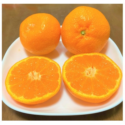 地元印南町産の完熟温州みかん約2.5kg(S～Lサイズ)