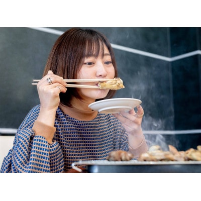 紀の国みかんどり　鶏焼肉セット