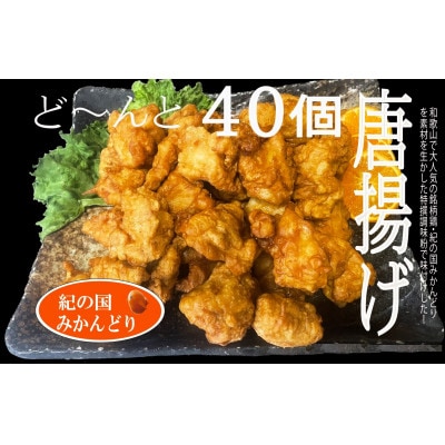 紀の国みかんどり　特選唐揚げ