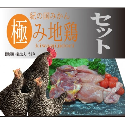 紀の国みかん極み地鶏セット