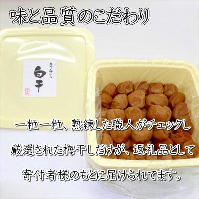 紀州南高梅　白干梅(塩分15%)1.5kg