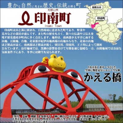 紀州南高梅　白干梅(塩分15%)1kg