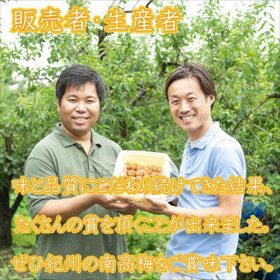 紀州南高梅　桃風味梅干(塩分5%)　2kg