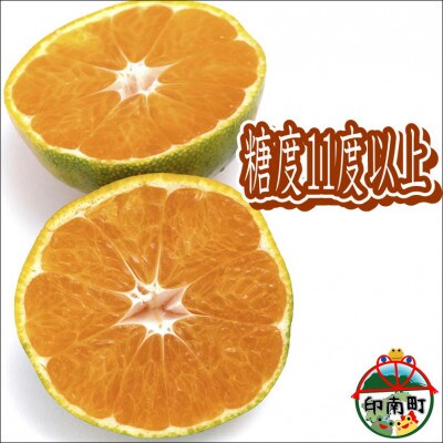 早生みかん 7.5kg 贈答用