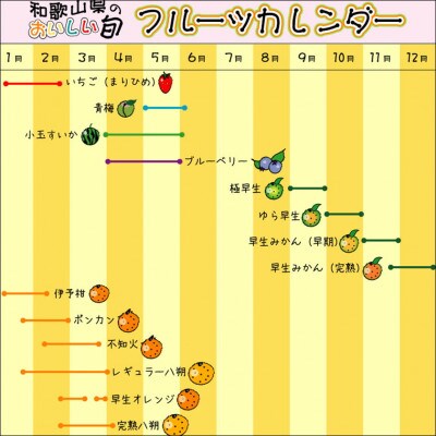 早生みかん　樹熟　7.5kg　贈答用　