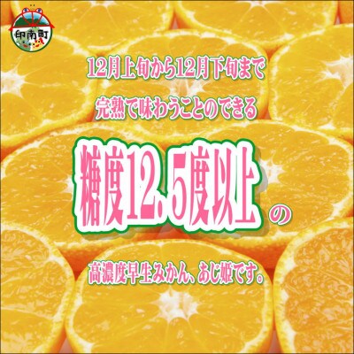 早生みかん　あじ姫　5kg  贈答用　