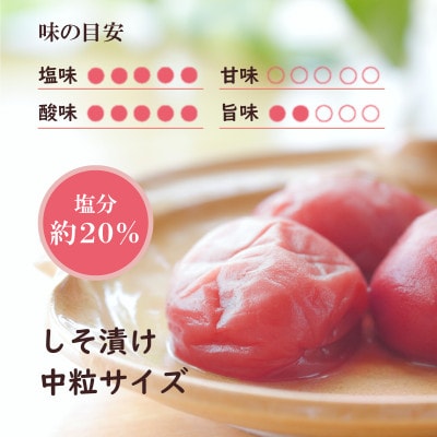 紀州綜合食品　しそ漬1.2kg　中粒