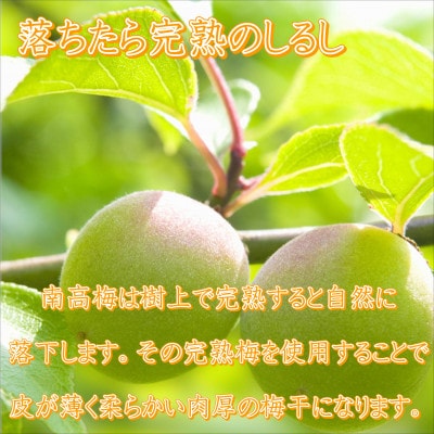 紀州南高梅　かつお梅(塩分8%)　850g