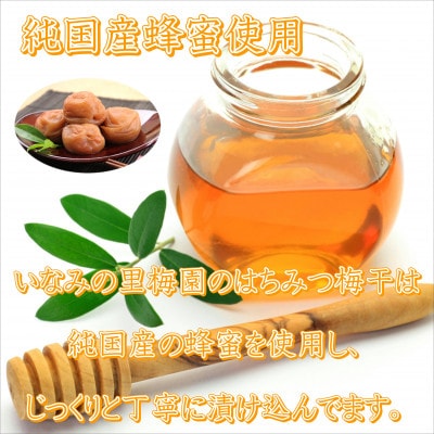 【農林水産大臣賞】厳選　紀州南高梅　はちみつ梅(塩分8%)　850g