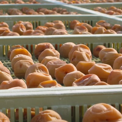 紀州南高梅　しそ梅(塩分15%)　850g