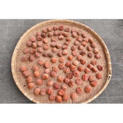 2025/6月より発送【梅干し・梅酒用】紀州和歌山の熟南高生梅4Lor3L-2kg