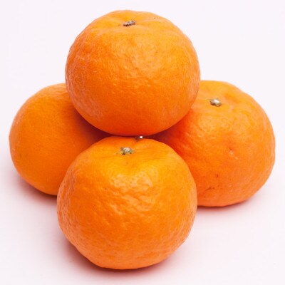 ＜4月より発送＞厳選 カラマンダリン2kg+60g(傷み補償分)【南津海・なつみ】【希少な春柑橘】