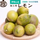 <先行受付>加工用　黒潮レモン5kg+150g(傷み補償分)【防腐剤・WAX不使用】【訳あり】