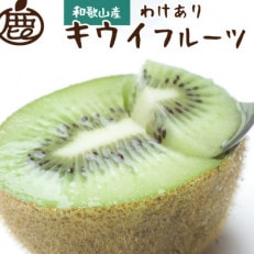 &lt;先行受付&gt;家庭用キウイフルーツ3kg+90g(傷み補償分)【訳あり・扁平果】
