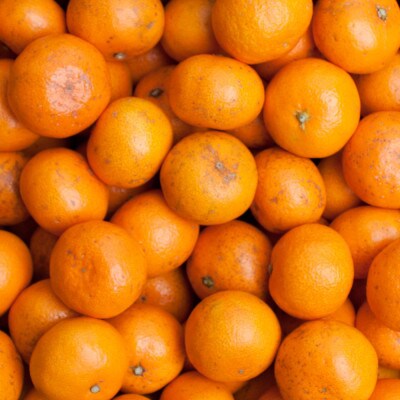 家庭用 小さな有田みかん10kg+250g(傷み補償分)【光センサー選果】【訳あり】