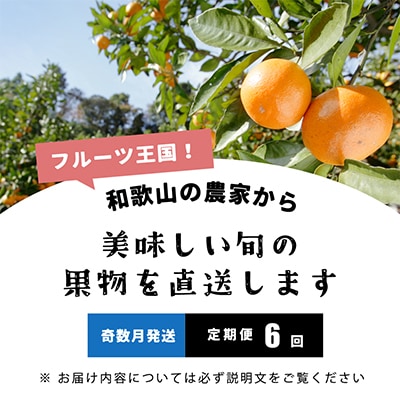 【発送月固定定期便】フルーツ定期便A【フルーツ定期便】【和歌山県有田】全6回