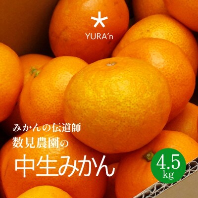 和歌山県中生みかん　12月下旬より発送　4.5kg