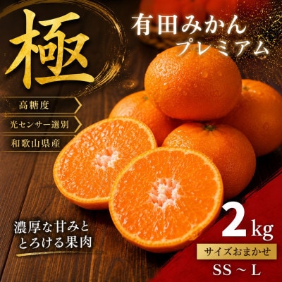 極 有田みかんプレミアム 約2kg【光センサー 高糖度選別品】2S～L (nuk004-p-2)