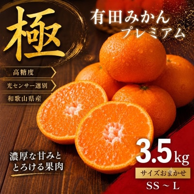 極 有田みかんプレミアム 約3.5kg【光センサー 高糖度選別品】2S～L (nuk004-p-3)