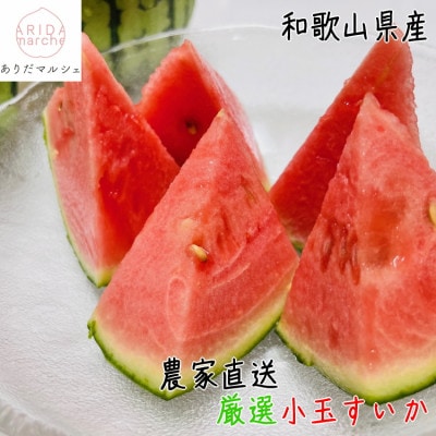 《先行受付》農家直送 厳選 小玉すいか Mサイズ/1玉入り