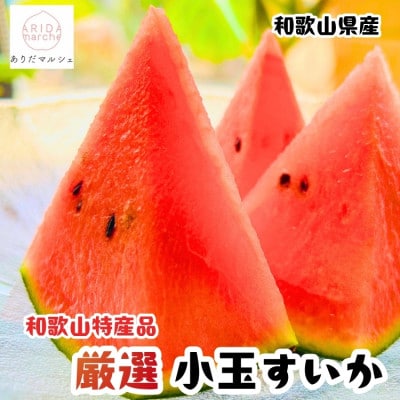 ≪先行予約 2027年6月発送≫農家直送 厳選 小玉すいか Mサイズ/1玉入り