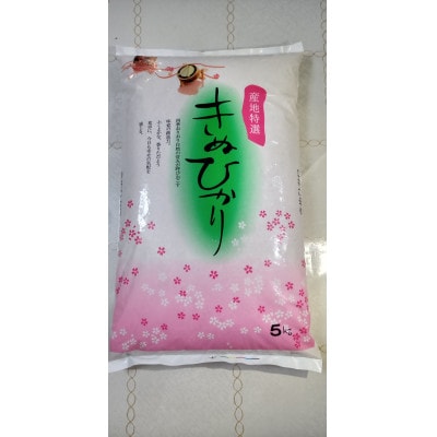 【令和5年産】「発送日前日精米」きぬひかり　精米　5kg×2袋