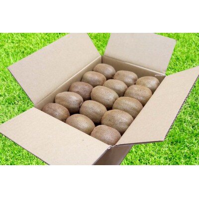 【まごころ手選別】和歌山産　キウイフルーツ　1.2kg　秀品