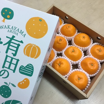 【まごころ手選別】和歌山産有田のはるみ　12玉　化粧箱入り