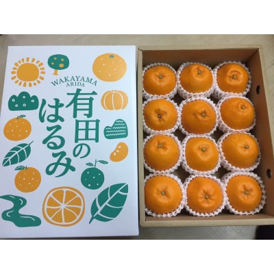 【まごころ手選別】和歌山産有田のはるみ　12玉　化粧箱入り