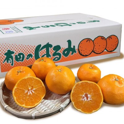【まごころ手選別】和歌山産有田のはるみ　約4kg　(S～4Lサイズ)