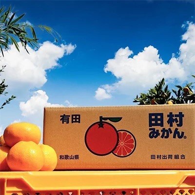 和歌山　湯浅町産　田村みかん 5kg【大玉】