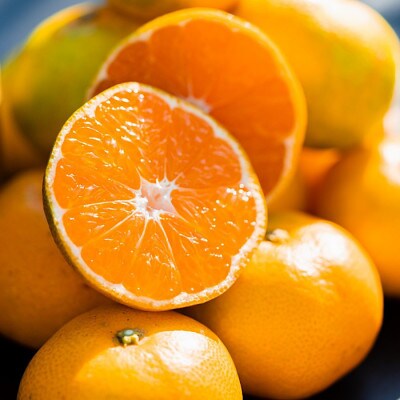 先行受付2026年11月より順次発送【まごころ手選別】有田みかん5kg(2S・Sサイズ混合)