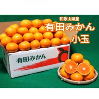 先行受付2026年11月より順次発送【まごころ手選別】有田みかん5kg小玉(3S～Sサイズ混合)