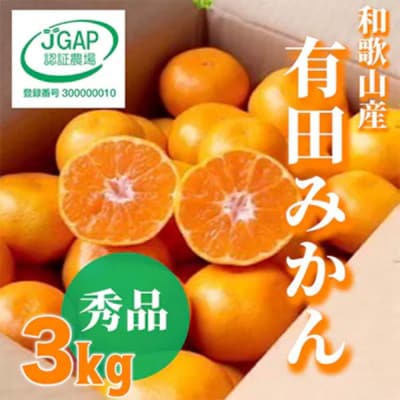 先行受付2026年11月より順次発送【まごころ手選別】有田みかん3kg(2S～Lサイズ混合)