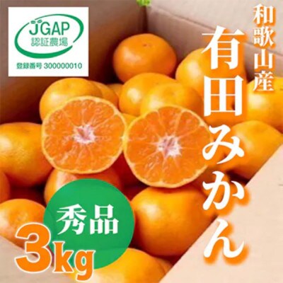 先行受付2026年11月より順次発送【まごころ手選別】有田みかん3kg(2S～Lサイズ混合)