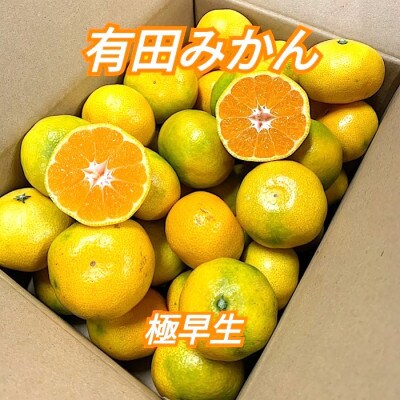 10月中旬より順次発送【まごころ手選別】和歌山産 有田みかん(極早生)3kg 1箱(2S～L混合)