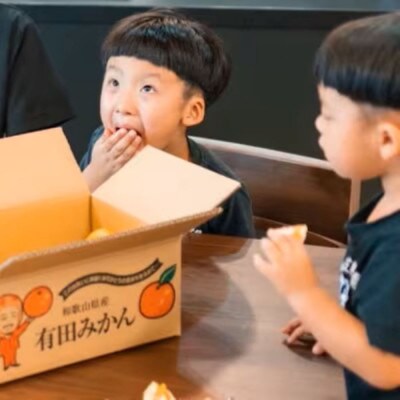 10月中旬より順次発送【まごころ手選別】和歌山産 有田みかん(極早生)3kg 1箱(2S～L混合)