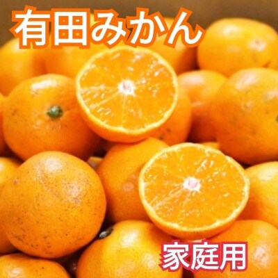 先行受付2026年11月より順次発送【まごころ手選別】有田みかん5kg家庭用(S～2S)