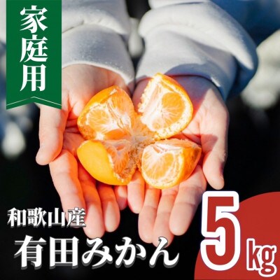 先行受付2026年11月より順次発送【まごころ手選別】有田みかん5kg家庭用(S～2S)