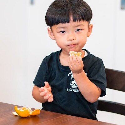 先行受付2026年11月より順次発送【まごころ手選別】有田みかん5kg家庭用(S～2S)