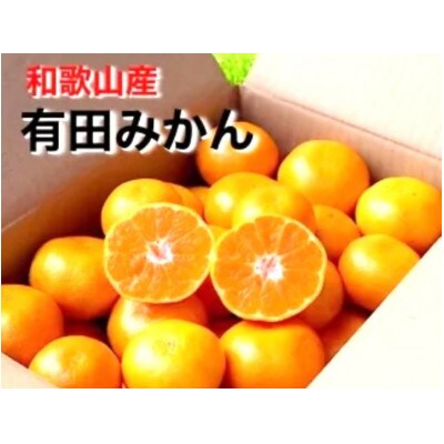 先行受付2026年11月より順次発送【まごころ手選別】有田みかん約4kg(2S～Lサイズ混合)