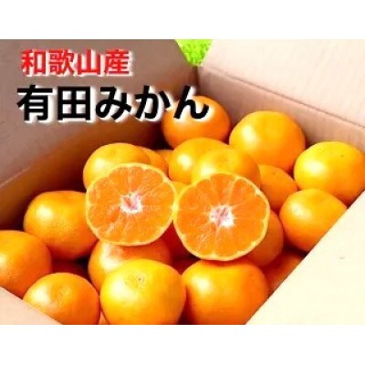 先行受付2026年11月より順次発送【まごころ手選別】有田みかん5kg(2S～Lサイズ混合)