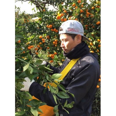 先行受付2026年11月より順次発送【まごころ手選別】有田みかん1kg家庭用(2S～2L混合)