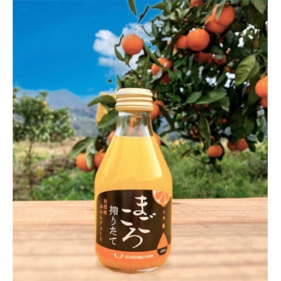 【まごころ搾りたて】有田みかんジュース100%　180ml　20本